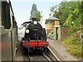 SU6635 : The Watercress Line, 31806 at Medstead and Four Marks Railway Station by David Dixon