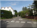 TM2997 : Green Man Lane, Kirstead Green by Geographer