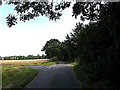 TM2997 : Green Man Lane, Kirstead Green by Geographer