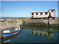 NT9267 : Leith Registered Fishing Boats : LH597 Harvester At St Abbs Harbour by Richard West