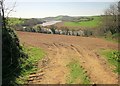 SX4266 : Tamar from south of Braunder Wood by Derek Harper