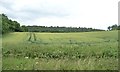 ST1136 : Tracked wheatfield, west side of Leigh Lane by Christine Johnstone