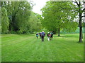 SO4063 : Wide green way to the Arches - Shobdon, Herefordshire by Martin Richard Phelan