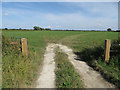 SE6944 : Wheldrake Ings, August view by Pauline E