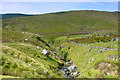 SH8033 : Llednant o'r Afon Lliw / Tributary of the Afon Lliw by Ian Medcalf