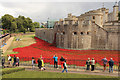 TQ3380 : Tower poppies by Richard Croft