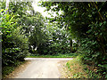 TM3097 : Green Man Lane, Kirstead Green by Geographer