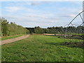 TL8915 : Footpath past horticultural growing sheds, Tiptree Farm by Roger Jones