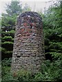 NU0536 : Ruined tower in Shiellow Wood by Graham Robson