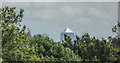 TQ3780 : Canary Wharf from Kenwood, Hampstead, London NW3 by Christine Matthews