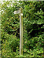 TM3091 : Footpath sign off Sexton Road by Geographer