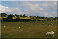 SP8763 : Water meadows in the Nene valley, from Hardwater Road by Christopher Hilton