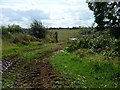 SP2305 : Field entrance, south of Filkins Farm by Christine Johnstone