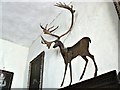 SP2429 : The Stag, Chastleton House, Chastleton, Oxfordshire by Brian Robert Marshall