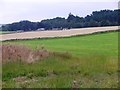 NJ6201 : A view north to houses on the A980 by Stanley Howe