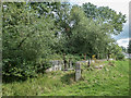 TL3701 : Disused Lock near Watch Tower, Royal Gunpowder Mills, Waltham Abbey by Christine Matthews