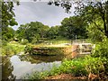 SJ8382 : River Bollin at Quarry Bank Mill by David Dixon