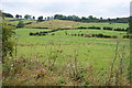 NZ8204 : Valley bottom near Grosmont by Bill Boaden