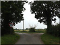 TM3191 : Fen Lane, Hedenham by Geographer