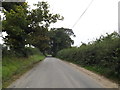 TM3191 : Earsham Road, Hedenham by Geographer