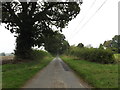 TM3191 : Fen Lane, Hedenham by Geographer