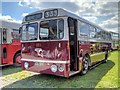 SD8203 : Leyland Royal Tiger by David Dixon