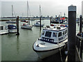 SU6101 : Waterbus, Portsmouth Harbour, Portsmouth, Hampshire by Christine Matthews