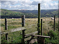 SJ9982 : Wooden stile by Stephen Burton