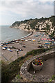 SY2389 : Floral Display and the Beach, Beer, Devon by Christine Matthews