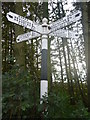 NT5465 : Rural East Lothian : ELCC Fingerpost At Longyester by Richard West