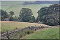 SJ9869 : Dry Stone Wall Above Banktop by Mick Garratt