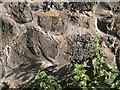 SO9390 : Detail of brick-capped rubble wall, Maughan Street, Dudley by Robin Stott