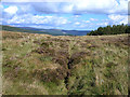 T0887 : Boggy ground on the col between Slieve Maan and Croahanmoira Mountain by Oliver Dixon