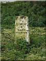 TM2995 : Milestone off the B1332 Norwich Road by Geographer