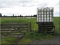  : Sheep watering facility at Brothershiels by M J Richardson