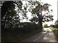 TM0562 : Whitehall Road, Old Newton by Geographer