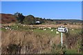  : Rough pasture at Claonel by Alan Reid