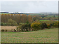 NT5921 : Teviotdale countryside by Oliver Dixon