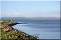 NH7882 : Watching a Whale in the Dornoch Firth by Andrew Tryon