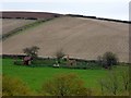 SS6808 : The ruins of Wood Farm, overlooking the valley of the Taw by David Smith