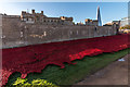 TQ3380 : Poppies by the Tower, London by Christine Matthews