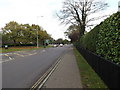 TG2206 : A140, Ipswich Road, Eaton by Geographer