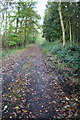 SP4514 : Track into Bladon Heath by Roger Templeman