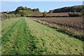 SO8542 : The Severn Way approaching Cliff Wood by Philip Halling