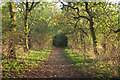 TQ5682 : Tree lined path to Running Water Brook, Belhus Woods Country Park by Roger Jones