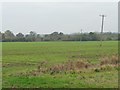 TL0833 : Poles crossing farmland, east of New Inn Farm by Christine Johnstone