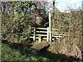 SK3820 : Stile and Footbridge at Staunton Walk by Ian Calderwood