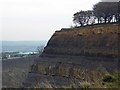 SE1908 : Rock strata in quarry by Steve  Fareham