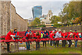 TQ3380 : Tower poppies by Ian Capper