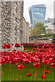 TQ3380 : Tower poppies by Ian Capper